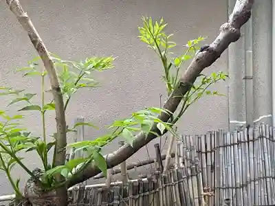 遠照山 光明寺（尼崎大仏）(兵庫県)