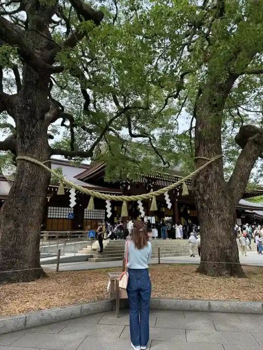 明治神宮(東京都)