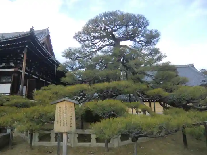 くろ谷 金戒光明寺(京都府)