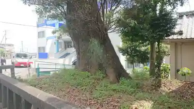 八面神社の自然