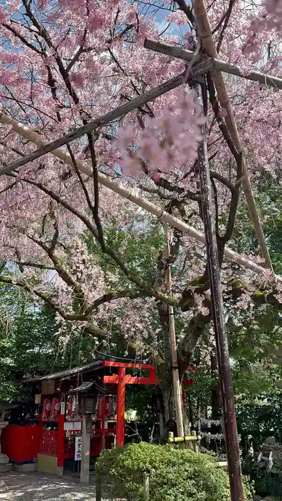 水火天満宮(京都府)