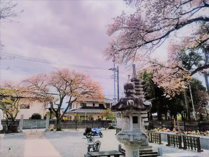 山梨県 昭和町 正覚寺(山梨県)