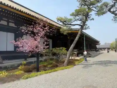 蓮華王院（三十三間堂）の{uncategorized: "未分類", other: "その他", undefined: "問題あり", building: "その他建物", grave: "お墓", sacred_gate: "鳥居", guardian: "狛犬", statue: "像", buddha: "仏像", history: "歴史", nature: "自然", garden: "庭園", animal: "動物", pagoda: "塔", temizu: "手水舎", mountain_gate: "山門・神門", sanctuary: "本殿・本堂", subordinate: "末社・摂社", art: "芸術", scenery: "景色", jizo: "地蔵", ema: "絵馬", goshuin: "御朱印", omikuji: "おみくじ", items: "授与品その他", amulet: "お守り", goshuincho: "御朱印帳", eats: "食事", festival: "お祭り", votive_dance: "神楽", shichigosan: "七五三参", wedding: "結婚式", experience: "体験その他", initially: "初詣", around: "周辺", anti_infection: "感染症対策"}
