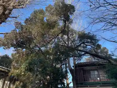 長元寺の{uncategorized: "未分類", other: "その他", undefined: "問題あり", building: "その他建物", grave: "お墓", sacred_gate: "鳥居", guardian: "狛犬", statue: "像", buddha: "仏像", history: "歴史", nature: "自然", garden: "庭園", animal: "動物", pagoda: "塔", temizu: "手水舎", mountain_gate: "山門・神門", sanctuary: "本殿・本堂", subordinate: "末社・摂社", art: "芸術", scenery: "景色", jizo: "地蔵", ema: "絵馬", goshuin: "御朱印", omikuji: "おみくじ", items: "授与品その他", amulet: "お守り", goshuincho: "御朱印帳", eats: "食事", festival: "お祭り", votive_dance: "神楽", shichigosan: "七五三参", wedding: "結婚式", experience: "体験その他", initially: "初詣", around: "周辺", anti_infection: "感染症対策"}