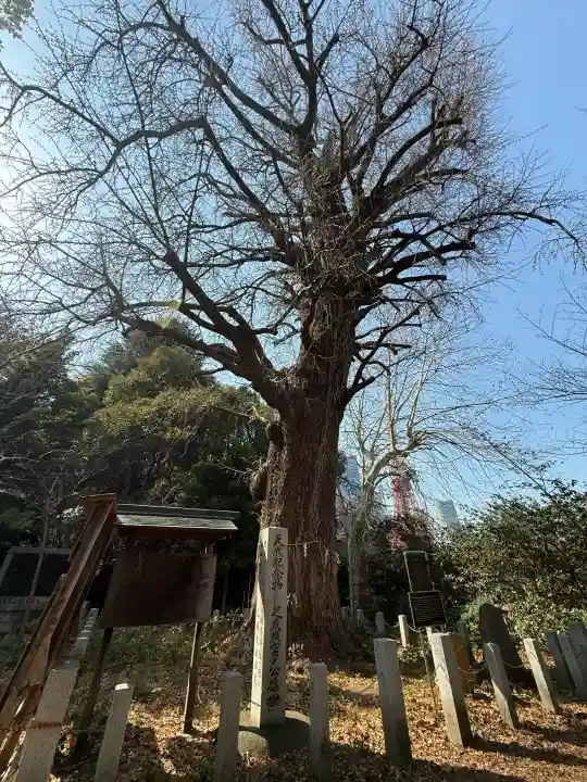 芝東照宮(東京都)