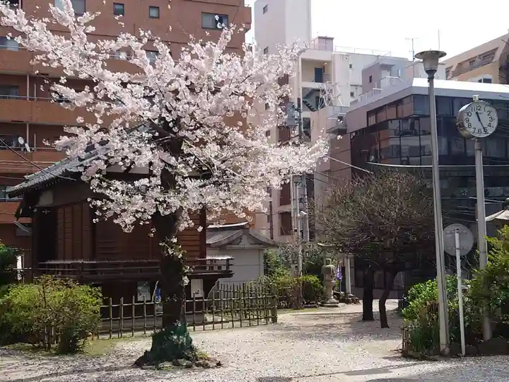 平河天満宮の自然