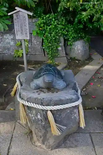 酒列磯前神社の狛犬