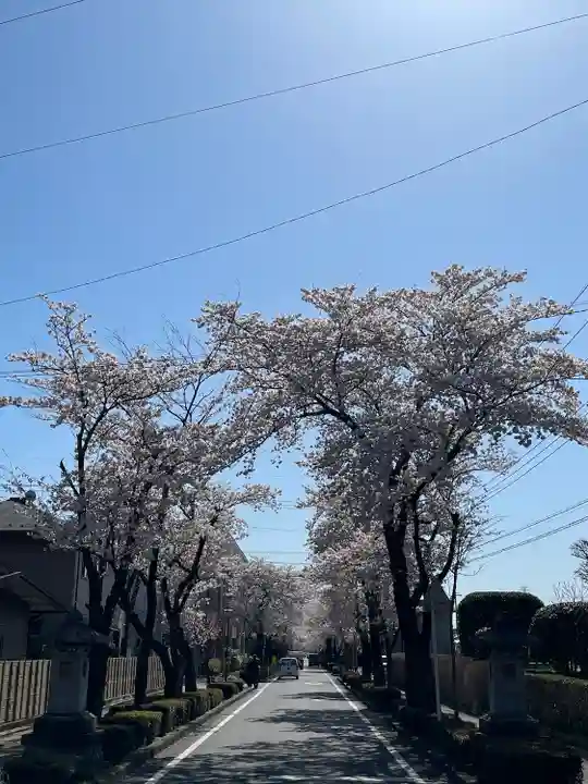 乃木神社の自然