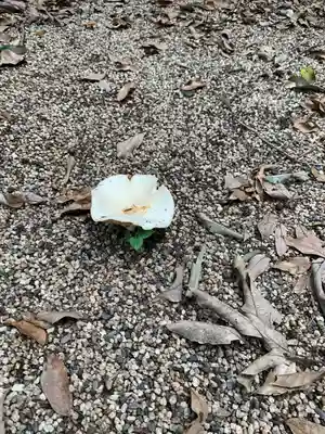 能褒野神社(三重県)