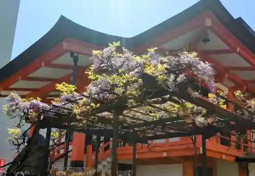 善國寺(東京都)