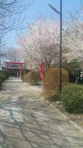 見川稲荷神社の自然