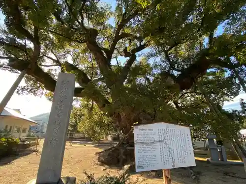 善通寺(香川県)