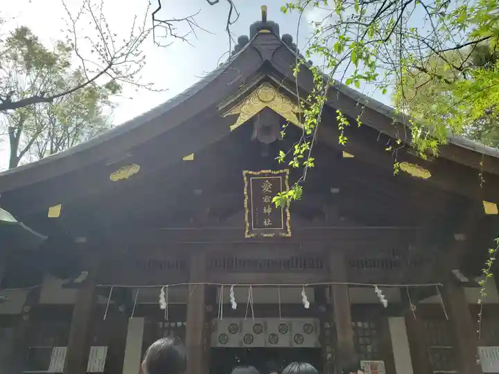 愛宕神社の本殿・本堂
