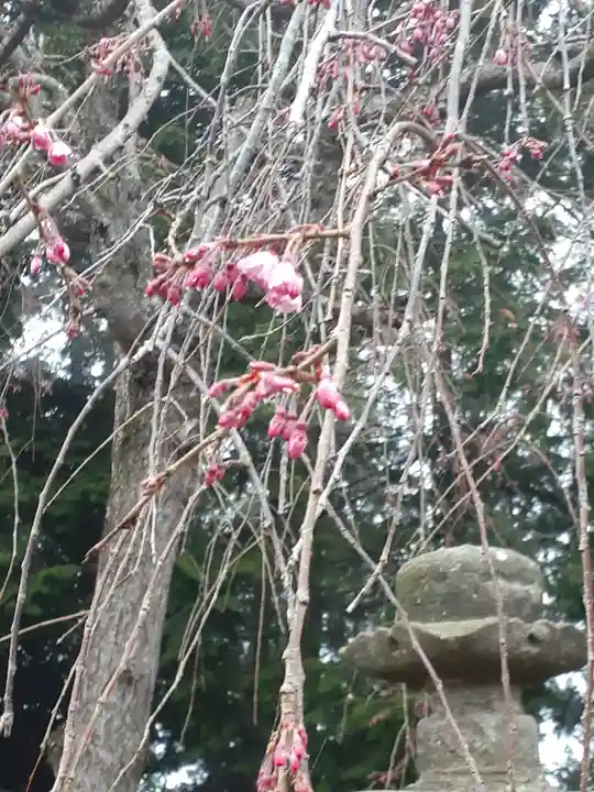 伏木香取神社(茨城県)