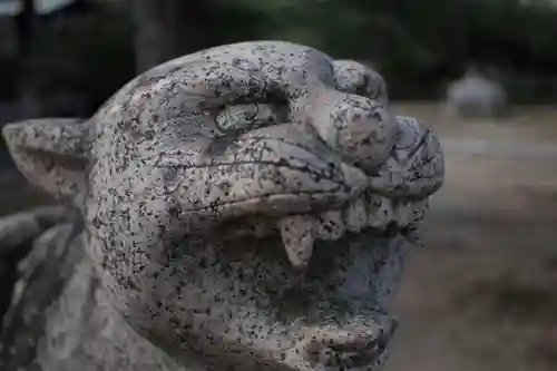 刺田比古神社の狛犬