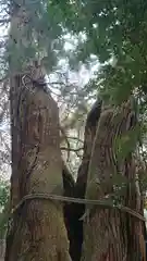 高岡神社(岡山県)