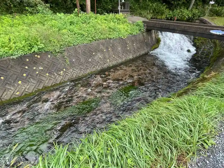 丸池神社(山形県)