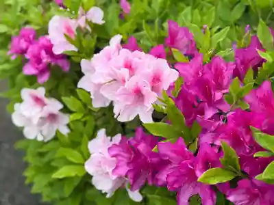 西方山極楽寺(岐阜県)