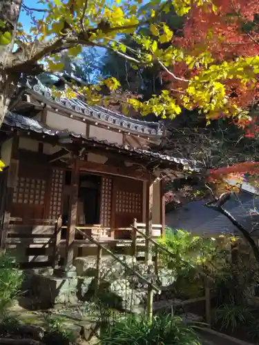 明月院(神奈川県)