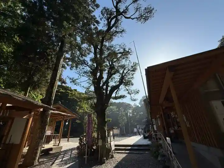 神明神社(石神さん)の{uncategorized: "未分類", other: "その他", undefined: "問題あり", building: "その他建物", grave: "お墓", sacred_gate: "鳥居", guardian: "狛犬", statue: "像", buddha: "仏像", history: "歴史", nature: "自然", garden: "庭園", animal: "動物", pagoda: "塔", temizu: "手水舎", mountain_gate: "山門・神門", sanctuary: "本殿・本堂", subordinate: "末社・摂社", art: "芸術", scenery: "景色", jizo: "地蔵", ema: "絵馬", goshuin: "御朱印", omikuji: "おみくじ", items: "授与品その他", amulet: "お守り", goshuincho: "御朱印帳", eats: "食事", festival: "お祭り", votive_dance: "神楽", shichigosan: "七五三参", wedding: "結婚式", experience: "体験その他", initially: "初詣", around: "周辺", anti_infection: "感染症対策"}