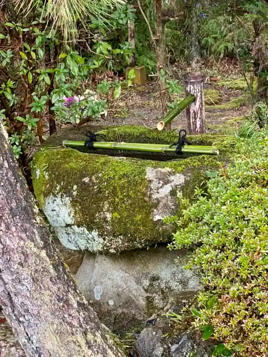 隨心院(随心院)(京都府)