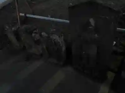 避来矢神社(埼玉県)