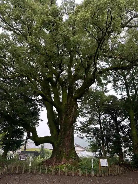 南方神社(宮崎県)