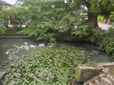 牛嶋天満宮(佐賀県)