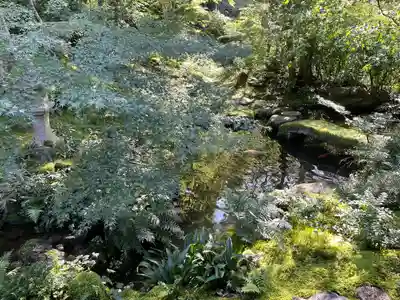 光明寺瑠璃光院(京都府)