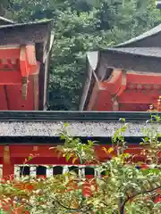 熊野那智大社(和歌山県)