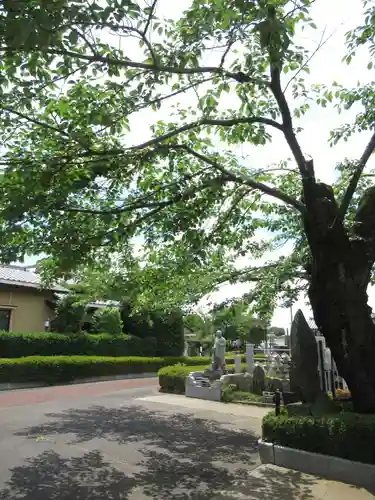 真光寺(千葉県)