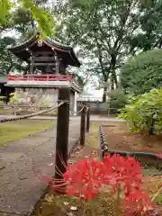 愛染院(東京都)