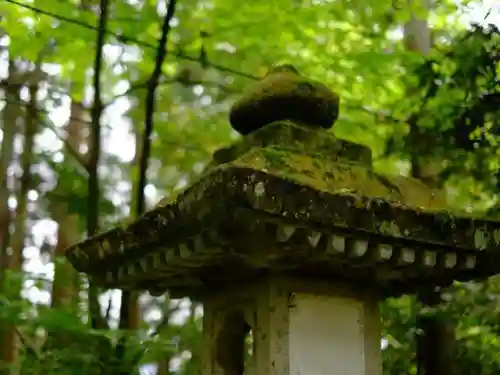 舟津神社の自然