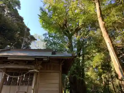 小高神社の本殿・本堂