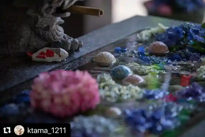 滑川神社 - 仕事と子どもの守り神の手水舎