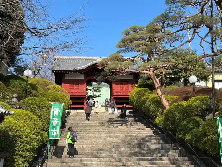 護国寺(東京都)