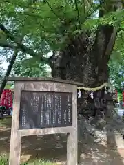 秩父今宮神社の歴史