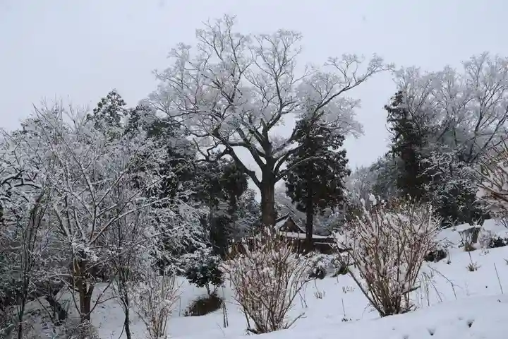 阿久津「田村神社」(郡山市阿久津町)旧社名:伊豆箱根三嶋三社の景色