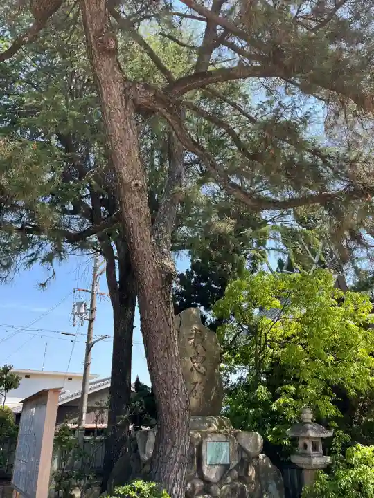 荒井神社(兵庫県)