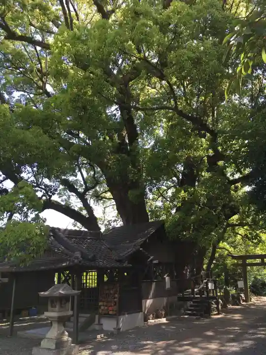 藤白神社の本殿・本堂