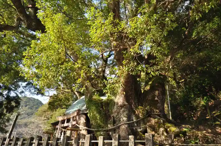 須賀神社の自然