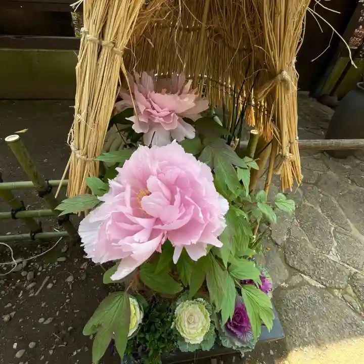 上野東照宮の自然