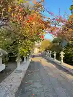 兵主神社(大阪府)