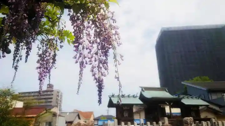 秋葉神社の自然