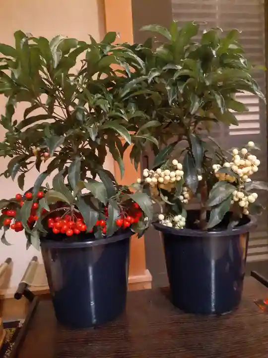 伏木香取神社の自然