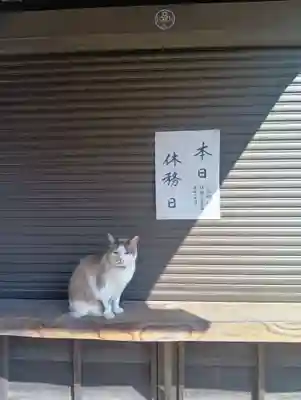 三輪神社(岐阜県)