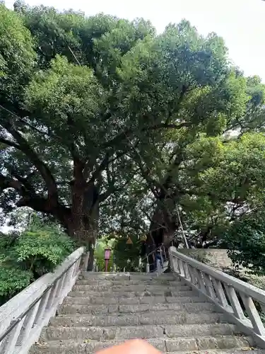 山王神社の自然
