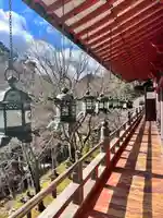 談山神社(奈良県)