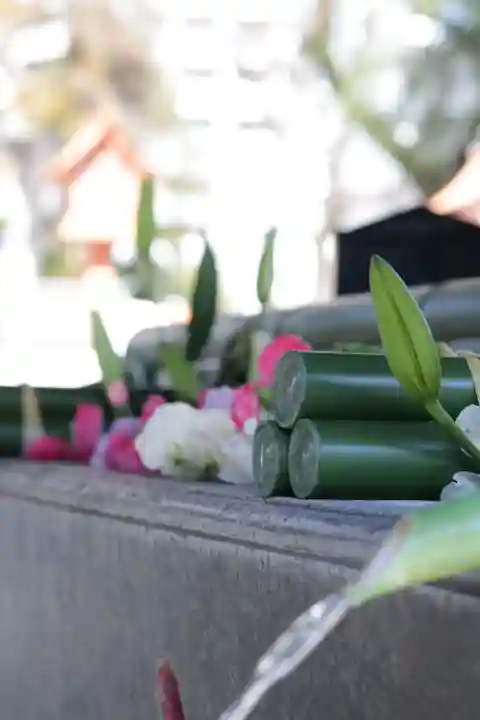 草加神社(埼玉県)