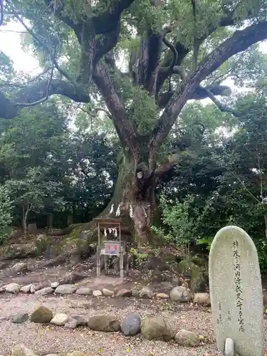 壺井八幡宮(大阪府)